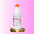 GINELOA EXTRACTO MAGISTRAL 250ML